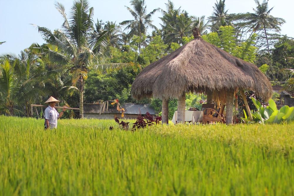 Mathis Retreat Ubud Exterior foto